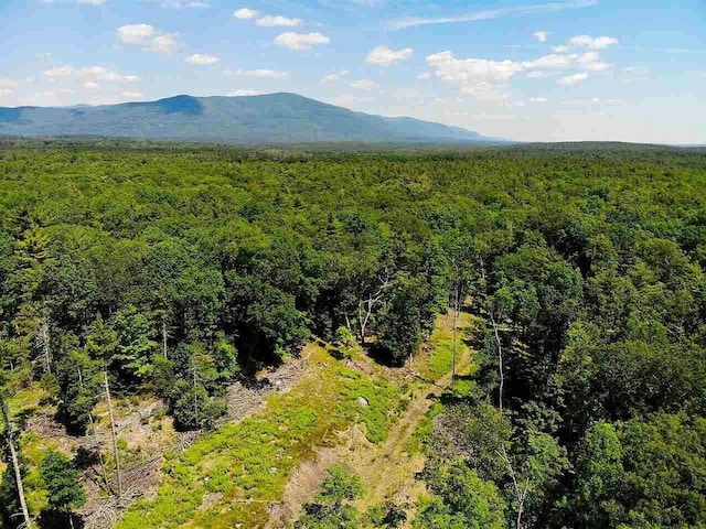 TBD60ACRE Zena Rd, Kingston, NY 12498
