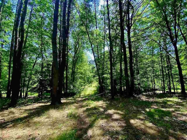 TBD60ACRE Zena Rd, Kingston, NY 12498