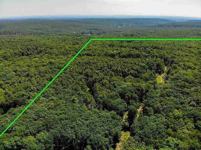 TBD60ACRE Zena Rd, Kingston, NY 12498
