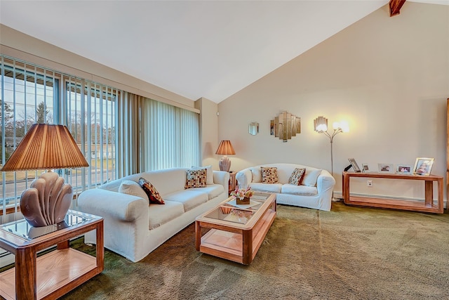 carpeted living room featuring high vaulted ceiling and baseboard heating