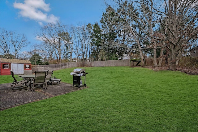 view of yard featuring a shed