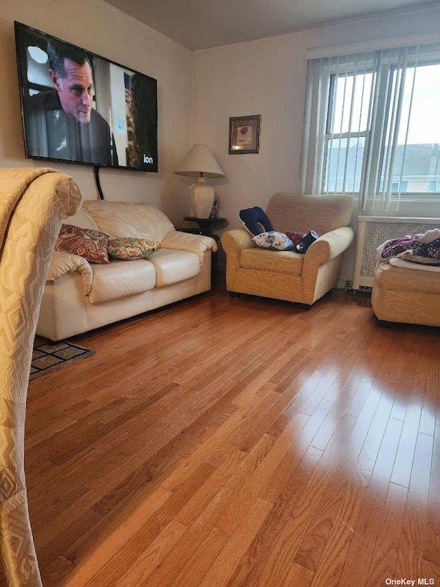 living area featuring light wood finished floors