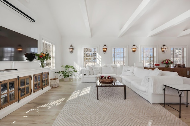 living area with a healthy amount of sunlight, a wall mounted air conditioner, and wood finished floors