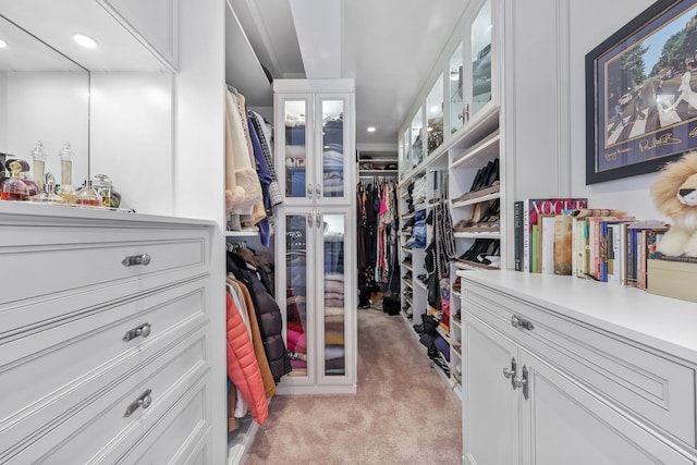 spacious closet with light carpet