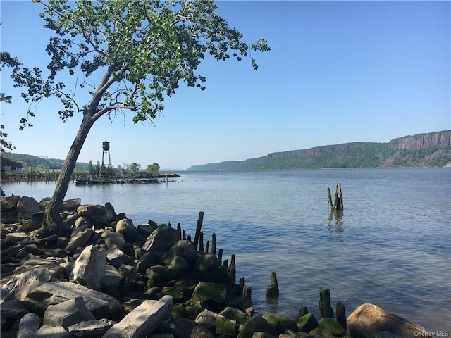 555 Broadway Ave Unit 1H, Hastings-On-Hudson, NY 10706 - water view