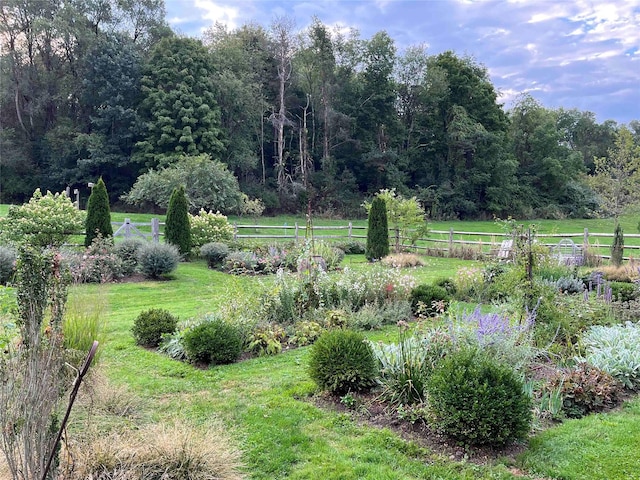 view of yard with a rural view