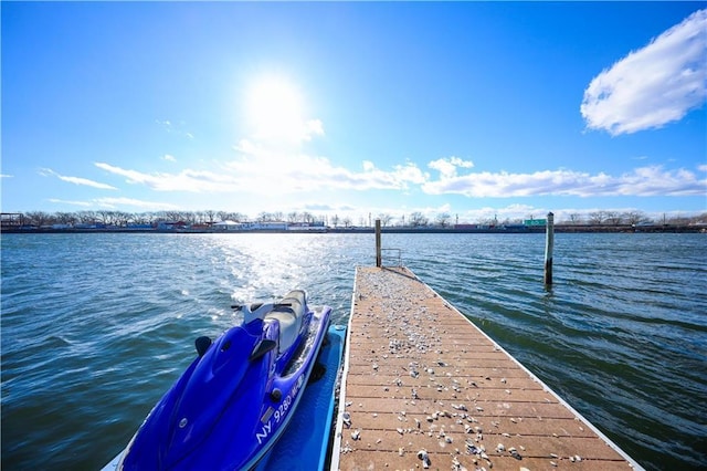 dock area featuring a water view