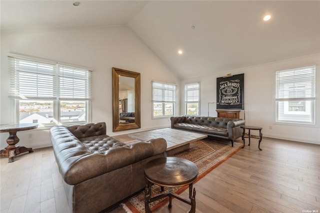 living room with hardwood / wood-style flooring and high vaulted ceiling