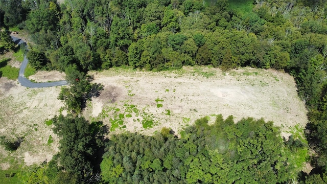 birds eye view of property with a wooded view