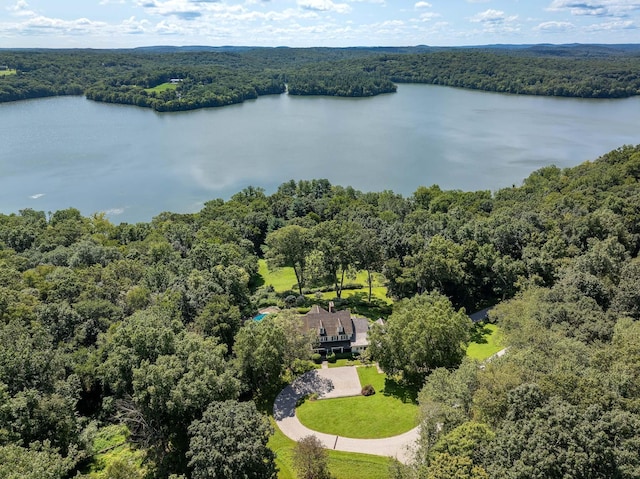 aerial view featuring a view of trees and a water view