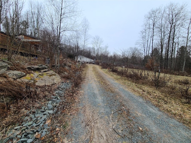 view of road with driveway