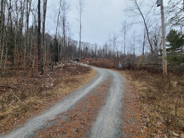 view of street with a wooded view