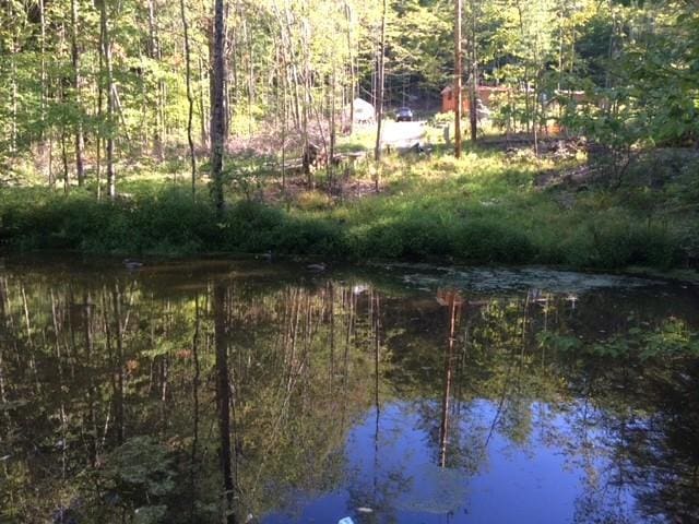 water view with a forest view