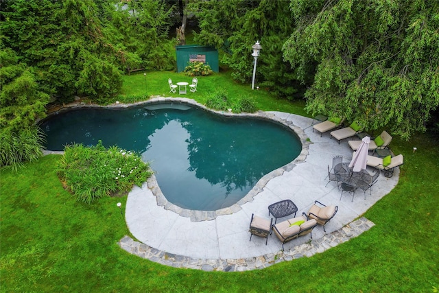 outdoor pool with a yard, a shed, a patio area, and an outdoor structure