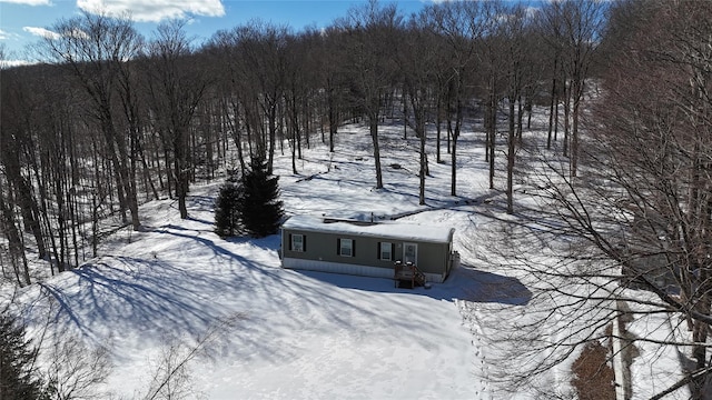 view of snowy aerial view