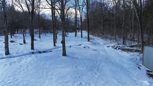 view of yard covered in snow