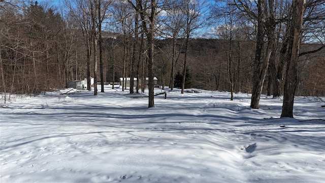 yard covered in snow with a forest view