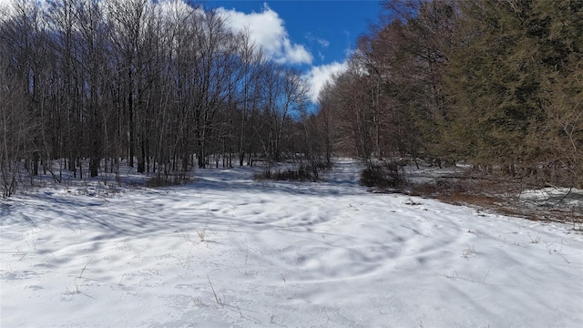 yard covered in snow with a wooded view