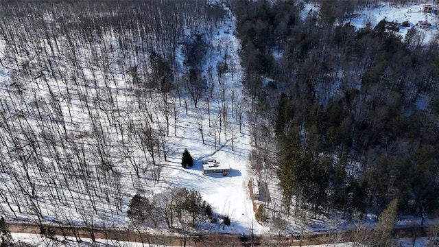 view of snowy aerial view