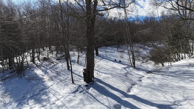 snowy view featuring a view of trees