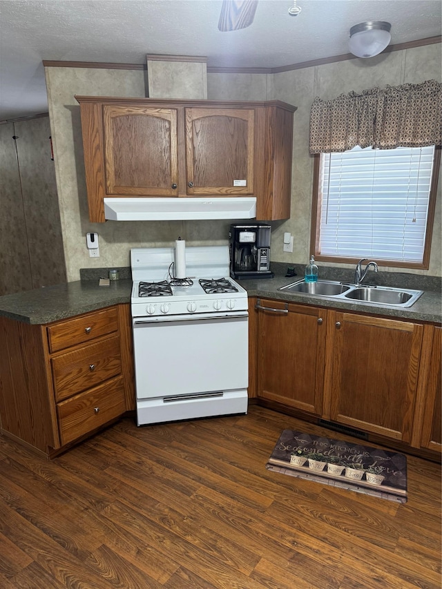 kitchen featuring dark wood-style floors, dark countertops, a sink, under cabinet range hood, and white gas range oven