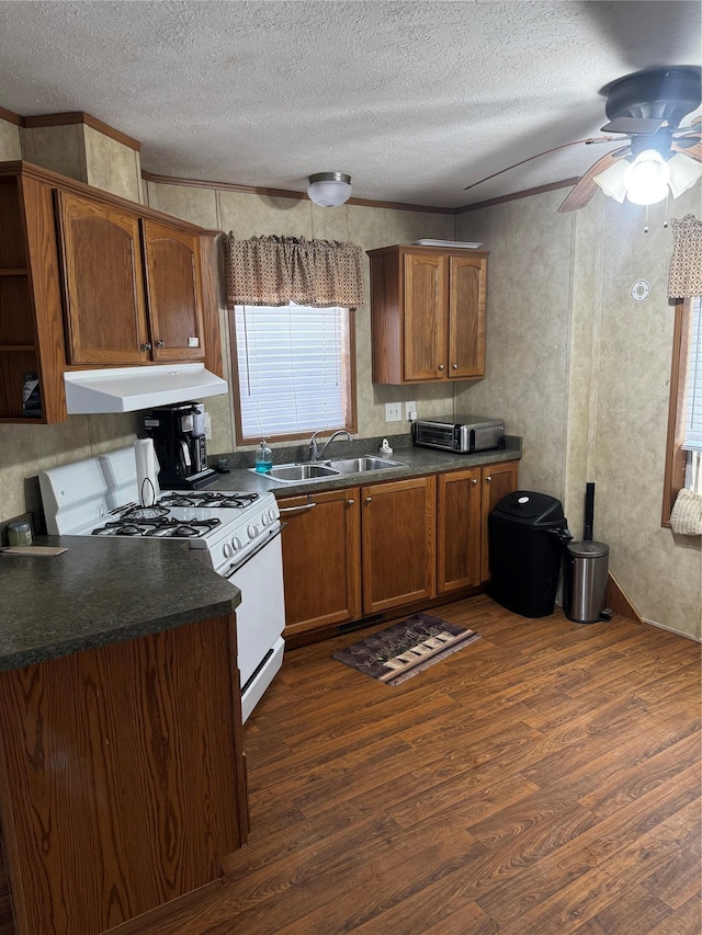 kitchen featuring dark countertops, dark wood finished floors, under cabinet range hood, and white gas range oven