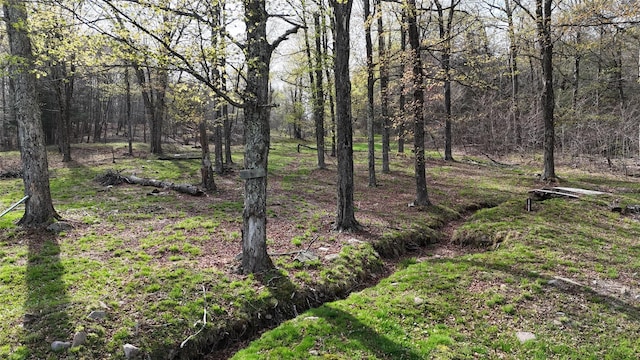 view of yard with a forest view