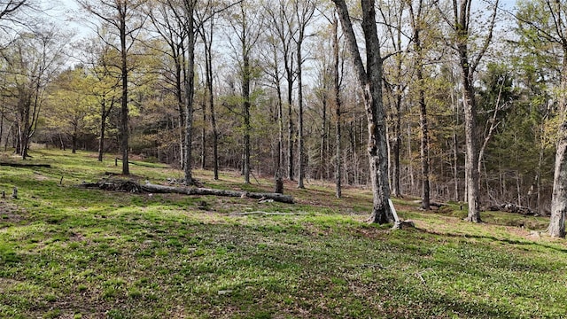 view of yard featuring a view of trees