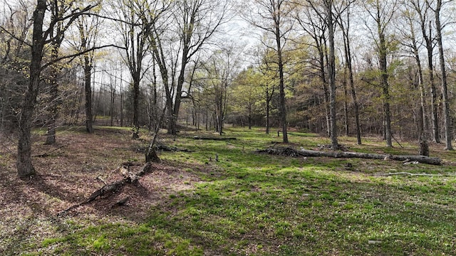 view of local wilderness featuring a forest view