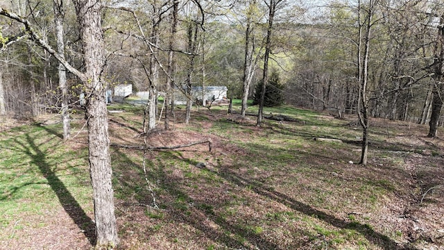 view of yard featuring a forest view