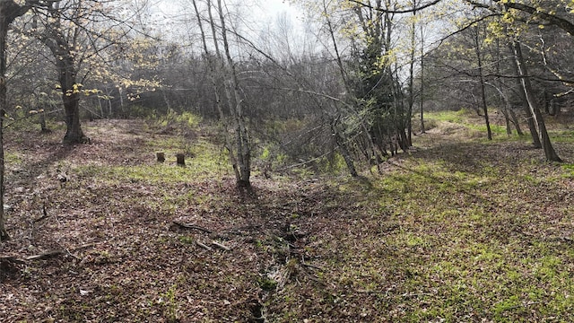 view of landscape featuring a view of trees