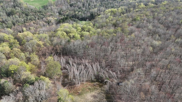 bird's eye view with a view of trees