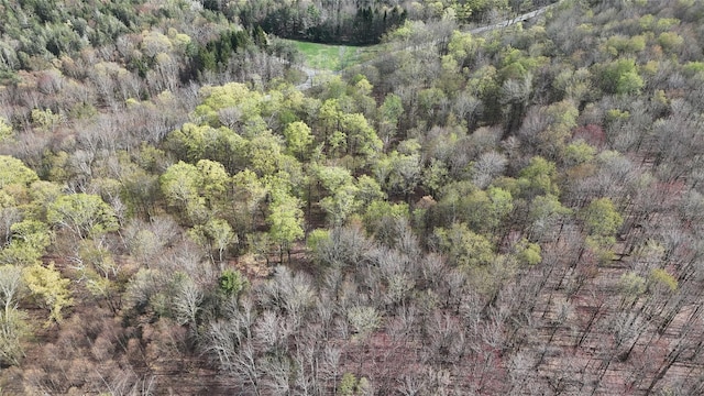 aerial view featuring a view of trees