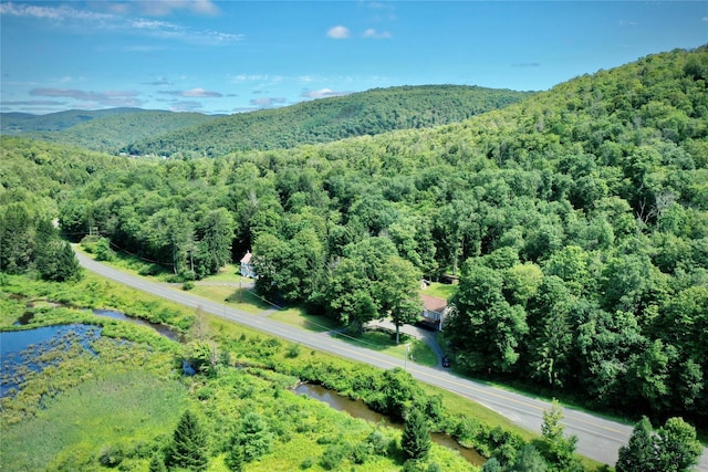 199 Gulf Rd, Roscoe, NY 12776 - photo 9