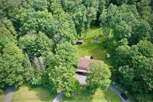 199 Gulf Rd, Roscoe, NY 12776 - photo 8