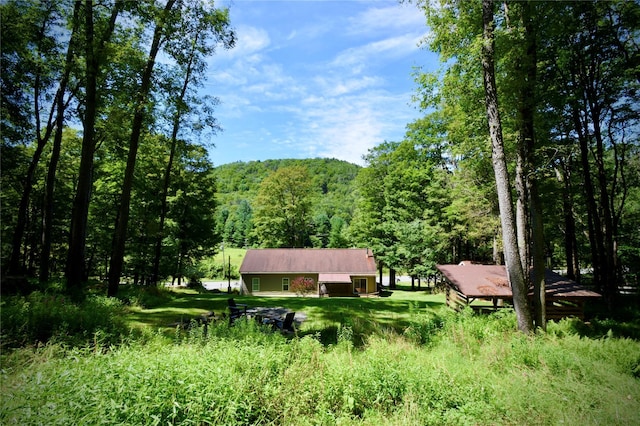 199 Gulf Rd, Roscoe, NY 12776 - photo 12