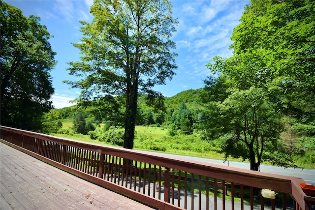199 Gulf Rd, Roscoe, NY 12776 - photo 3