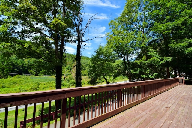 199 Gulf Rd, Roscoe, NY 12776 - photo 5