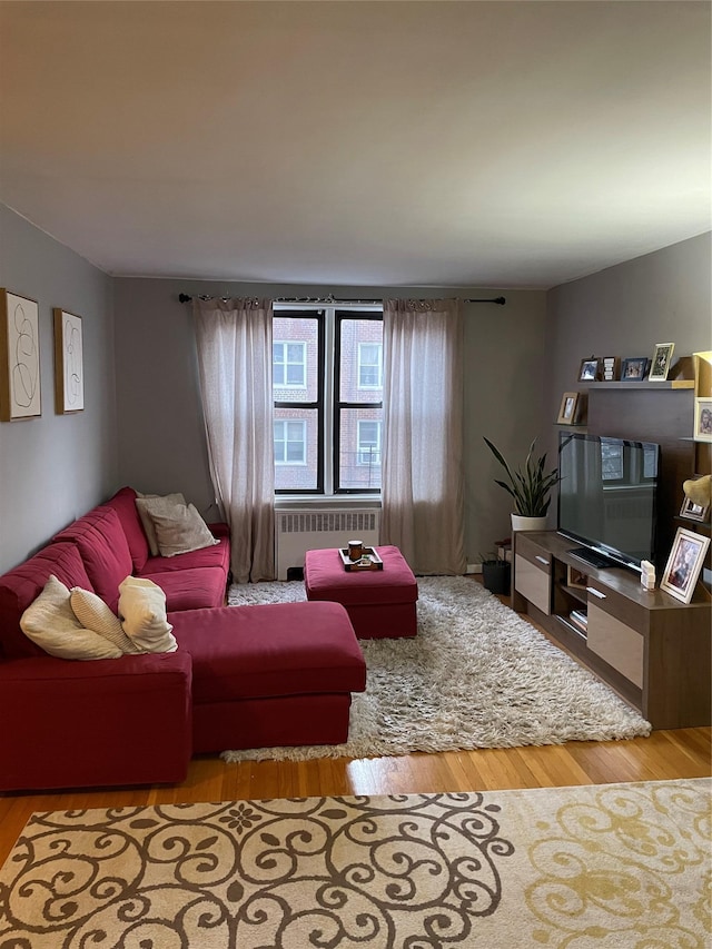 living area featuring light wood-style floors and radiator