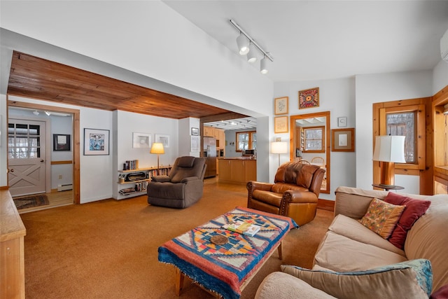 living room with a wealth of natural light, rail lighting, light colored carpet, and a baseboard radiator