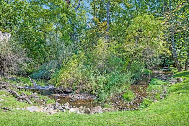 view of local wilderness with a view of trees