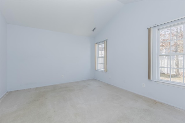 spare room with carpet floors, high vaulted ceiling, and a wealth of natural light