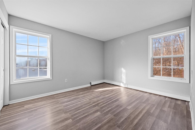 empty room featuring a wealth of natural light and wood-type flooring