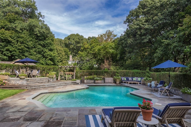 500 Hardscrabble Rd, Briarcliff Manor, NY 10510 - view of swimming pool with an outdoor living space, fence, a fenced in pool, and a patio area