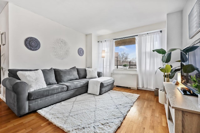 living room with light hardwood / wood-style floors