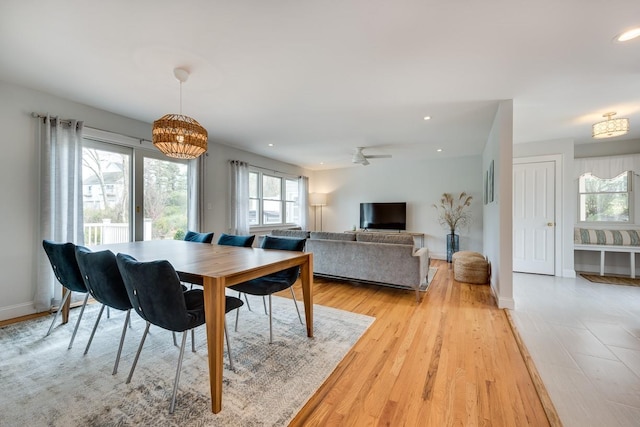 dining space with ceiling fan and light hardwood / wood-style flooring