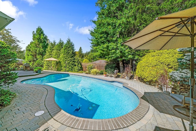 view of pool with fence private yard, a patio area, and a fenced in pool