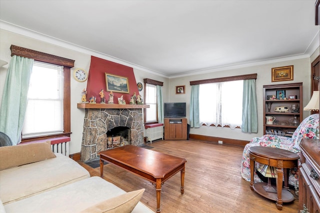 living room with a stone fireplace, radiator, light hardwood / wood-style flooring, and a wealth of natural light