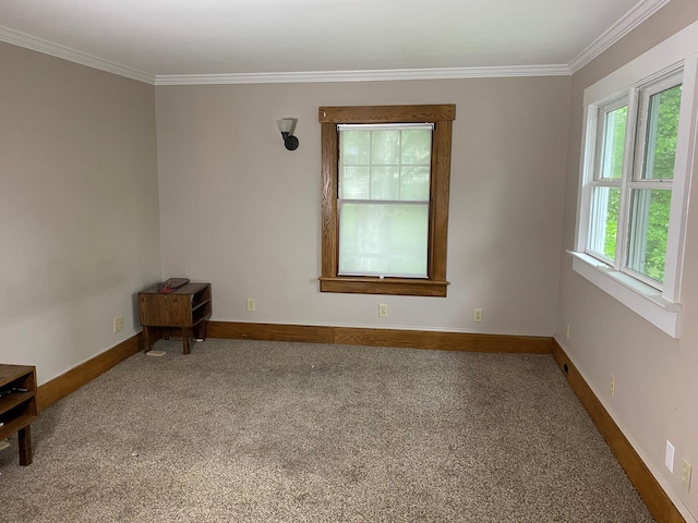 22 Depot Hill Rd, Amenia, NY 12501 - photo 25