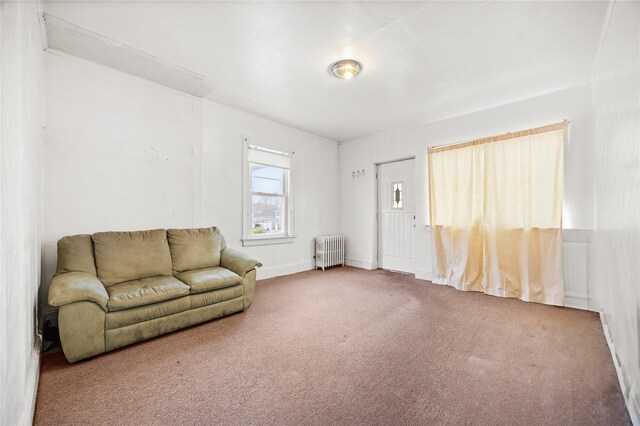 carpeted living area with radiator heating unit